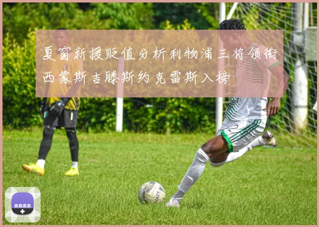 夏窗新援贬值分析利物浦三将领衔西蒙斯吉滕斯约克雷斯入榜