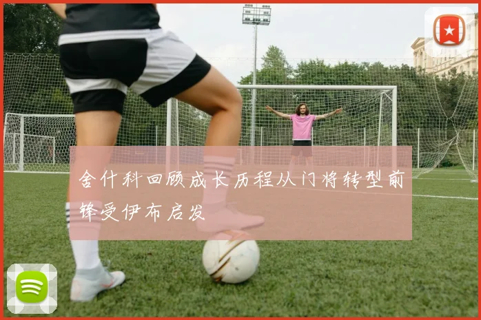 舍什科回顾成长历程从门将转型前锋受伊布启发